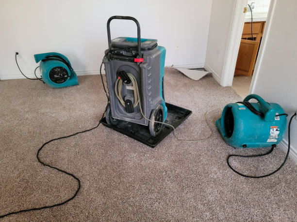 Best Flooded house restoration  in Pascagoula, MS