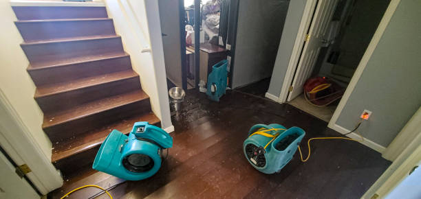 Best Flood restoration services  in Pascagoula, MS