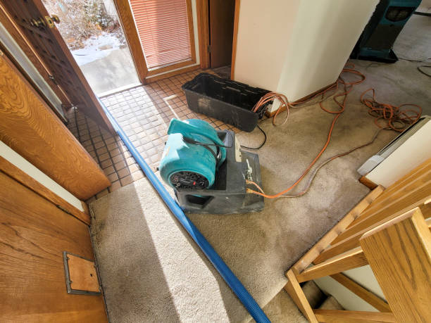 Best Local water damage restoration  in Pascagoula, MS