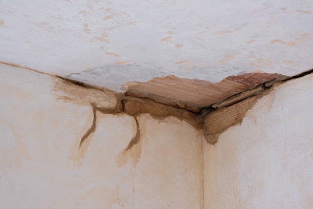 Best Basement water damage restoration  in Pascagoula, MS