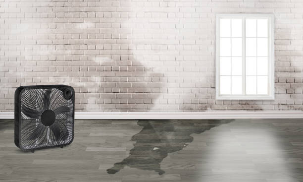 Water damage restoration mold remediation in MS