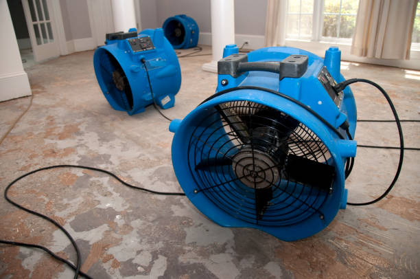  Pascagoula, MS Water damage restoration Pros