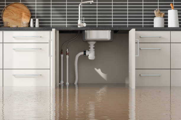 Best 24/7 water damage repair  in Pascagoula, MS