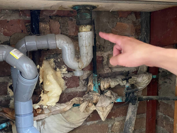 Best Water damage contractors near me  in Pascagoula, MS