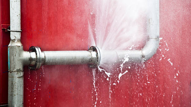 Best Sewage cleanup and water damage restoration  in Pascagoula, MS